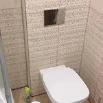 Romanowka Pod Sniezka Gæstehus 3*