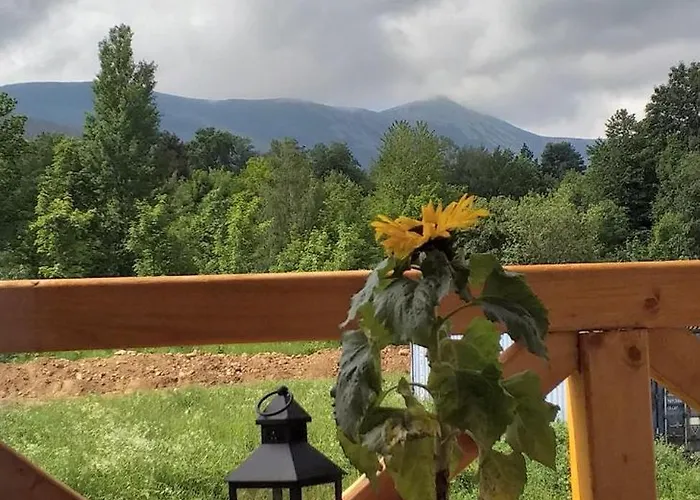 게스트하우스 Romanowka Pod Sniezka 3*