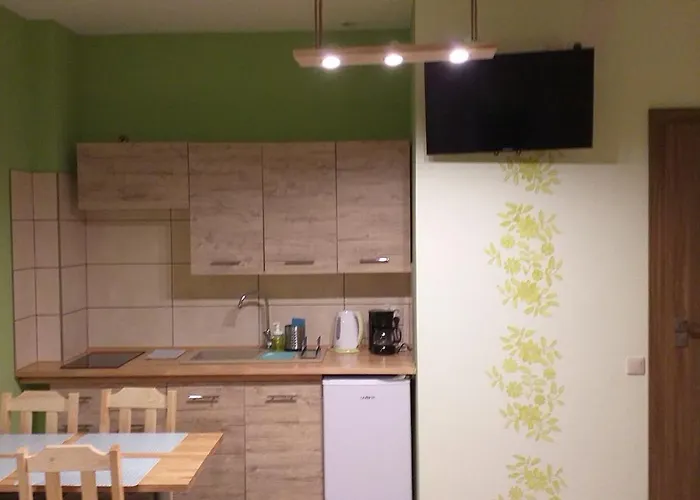 게스트하우스 Romanowka Pod Sniezka 코바리