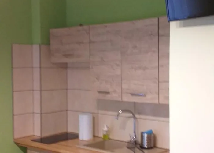 Romanowka Pod Sniezka 3* 코바리